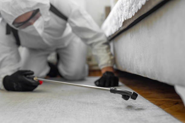 Professional Bed Bug Control technician working in Rochelle, GA